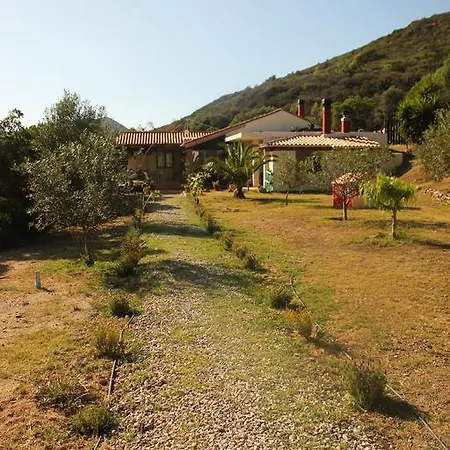 Fighezia 플루미니마조레